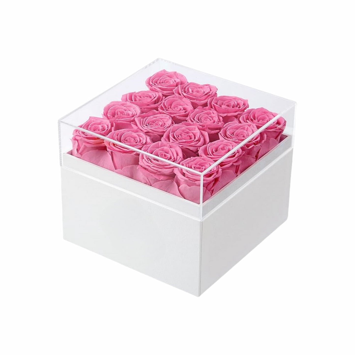 16 pink preserved roses in a box; ideal Valentines Day gift for her, wife, or mom.