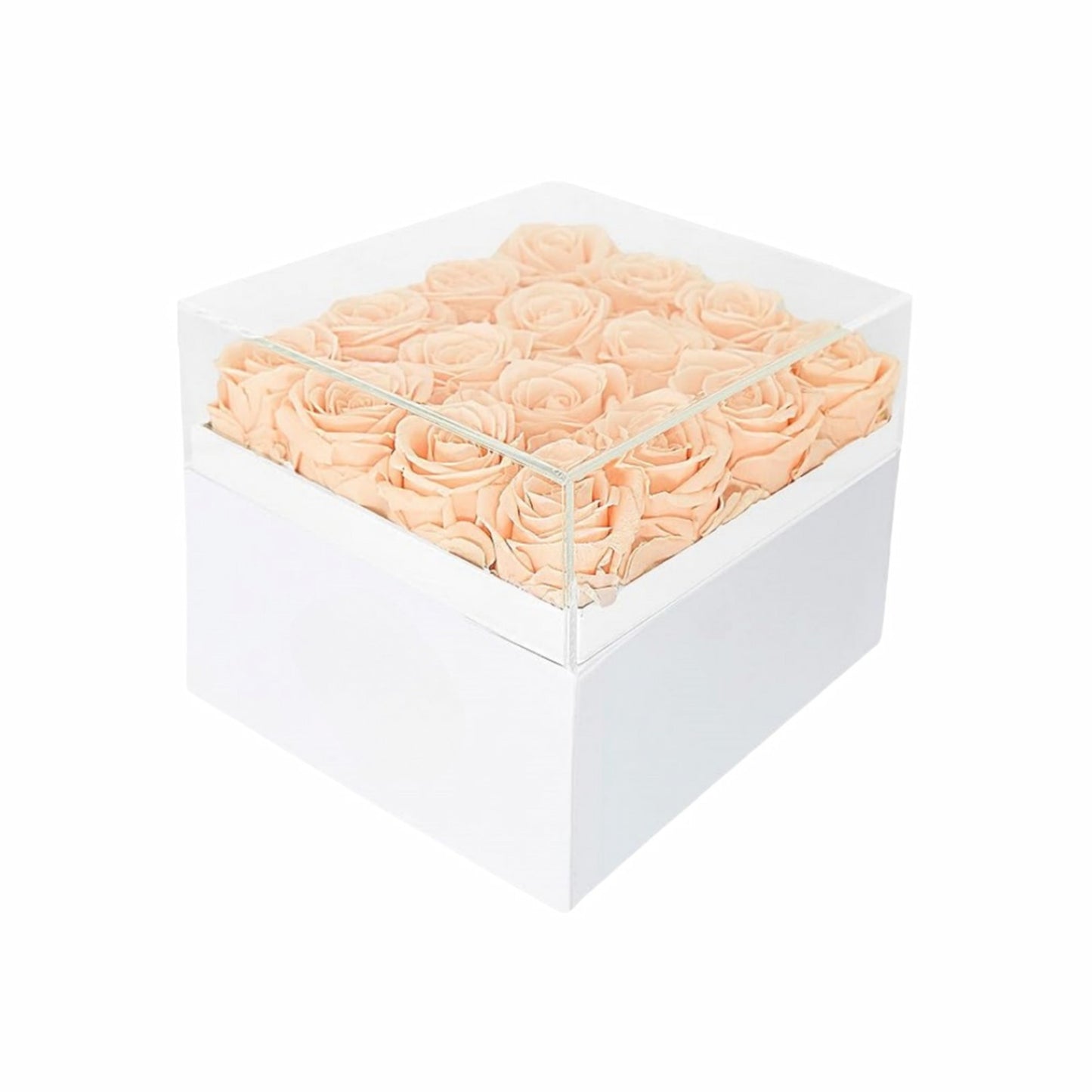 16 peach preserved roses in a box; ideal Valentines Day gift for her, wife, or mom.