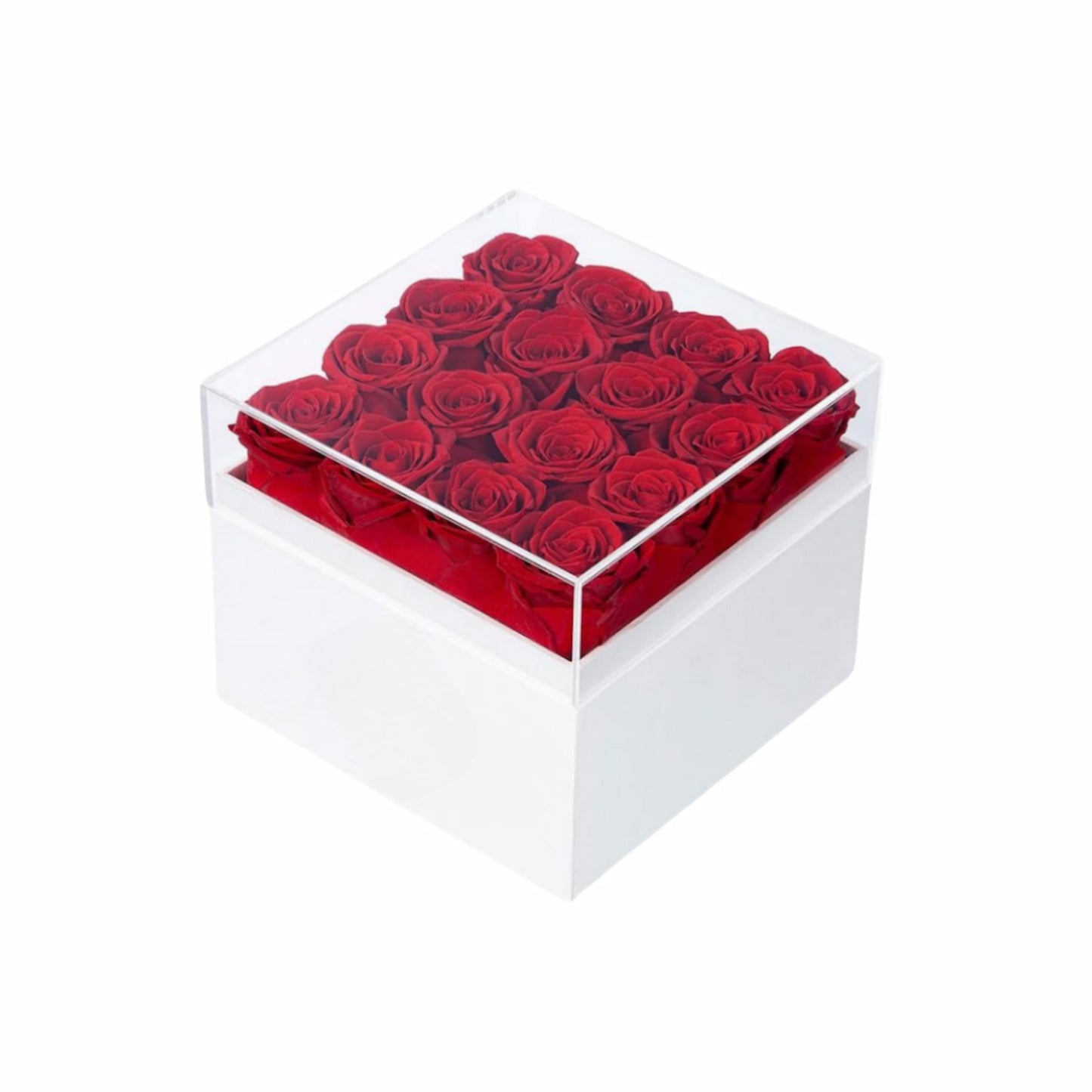 16 Red preserved roses in a box; ideal Valentines Day gift for her, wife, or mom.