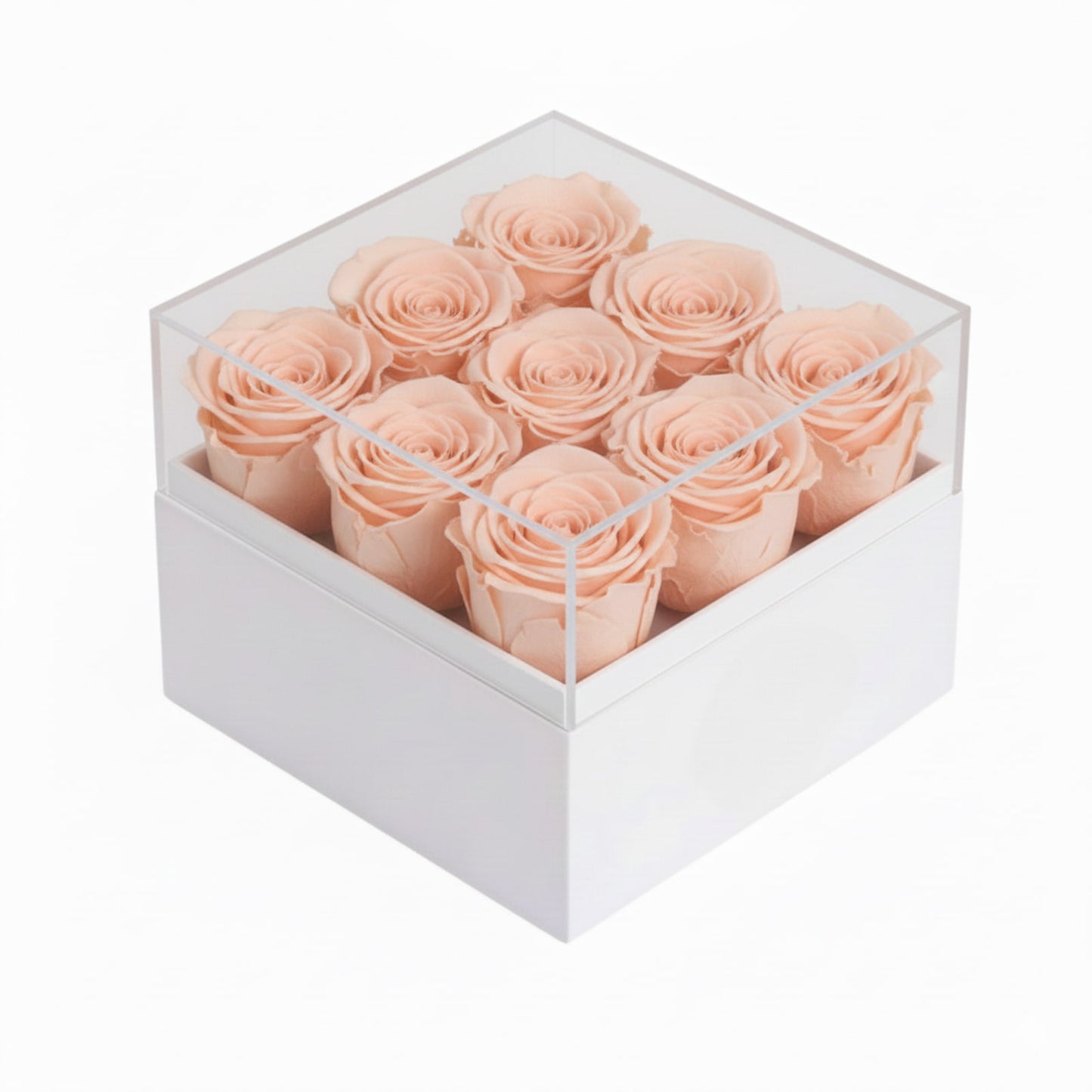 9 peach preserved roses in a box; ideal Valentines Day gift for her, wife, or mom.