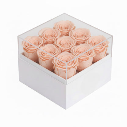 9 peach preserved roses in a box; ideal Valentines Day gift for her, wife, or mom.