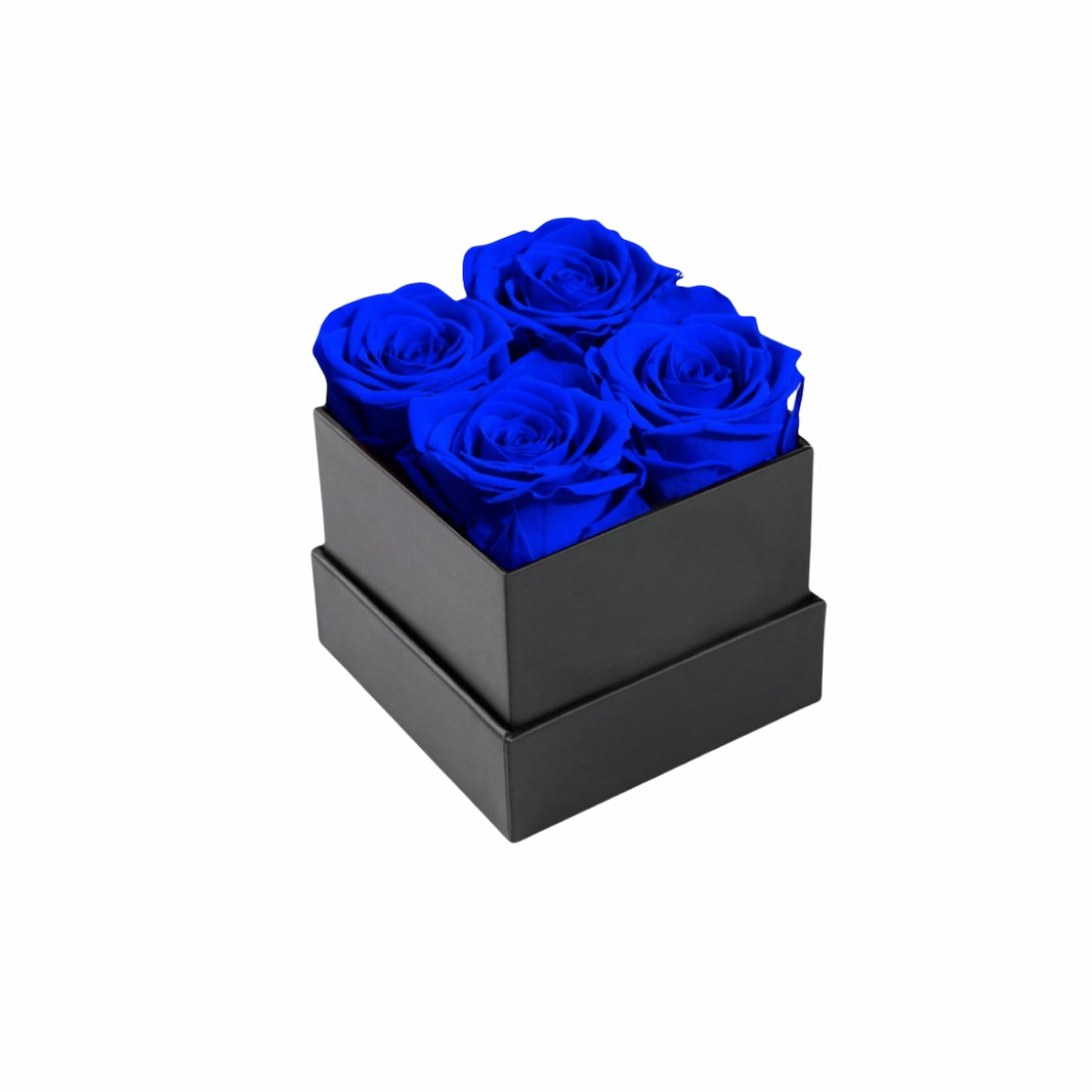 Custom Blue Preserved Roses In Black Gift Box.