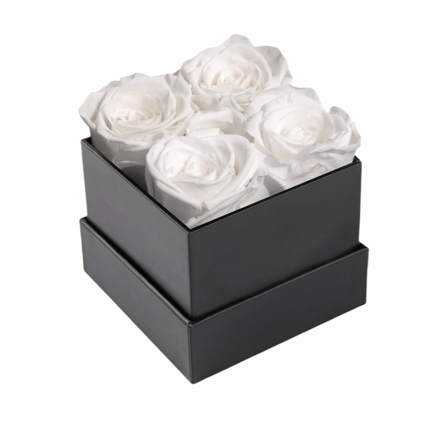 Four White Preserved Roses In Black Gift Box.
