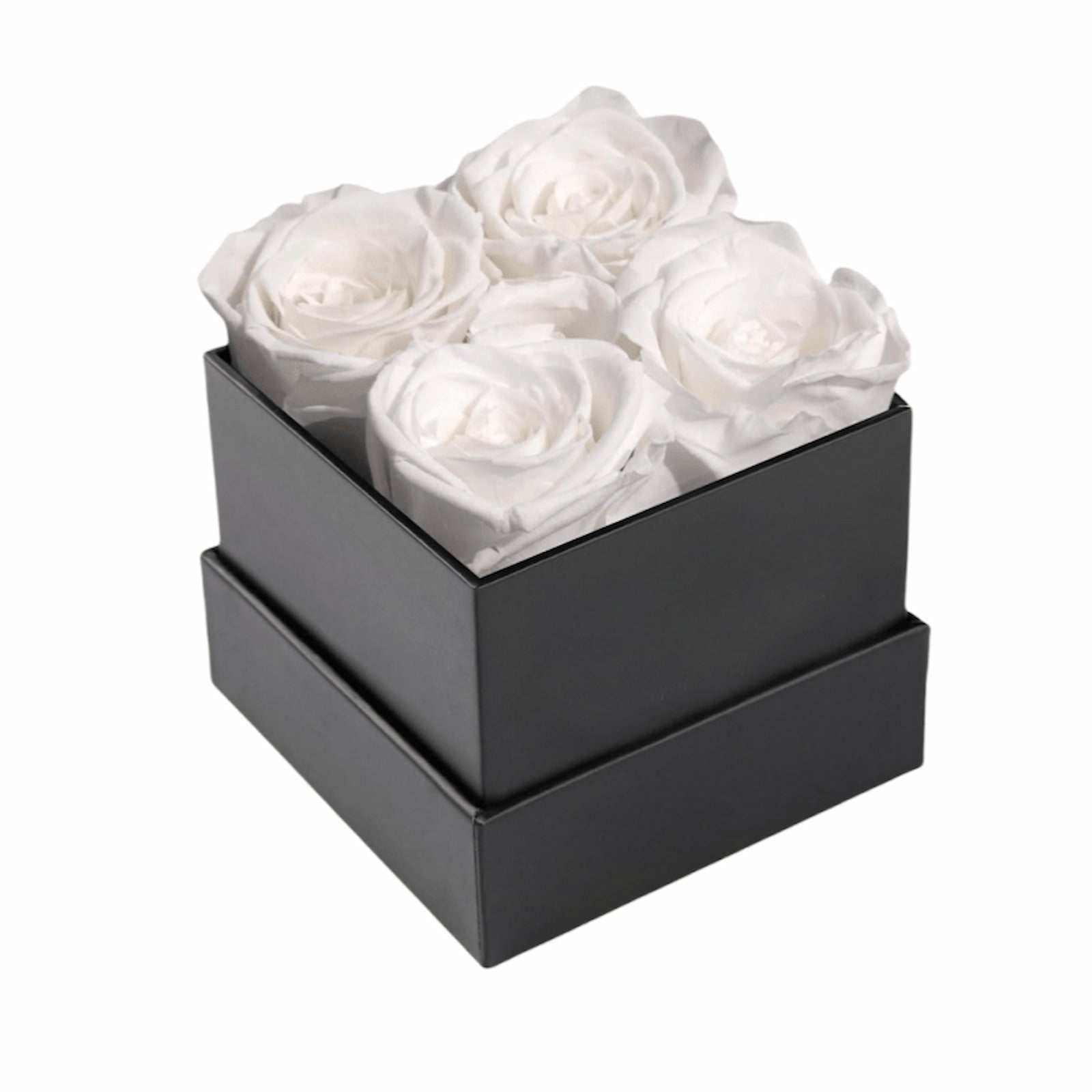 Four White Preserved Roses In Black Gift Box.