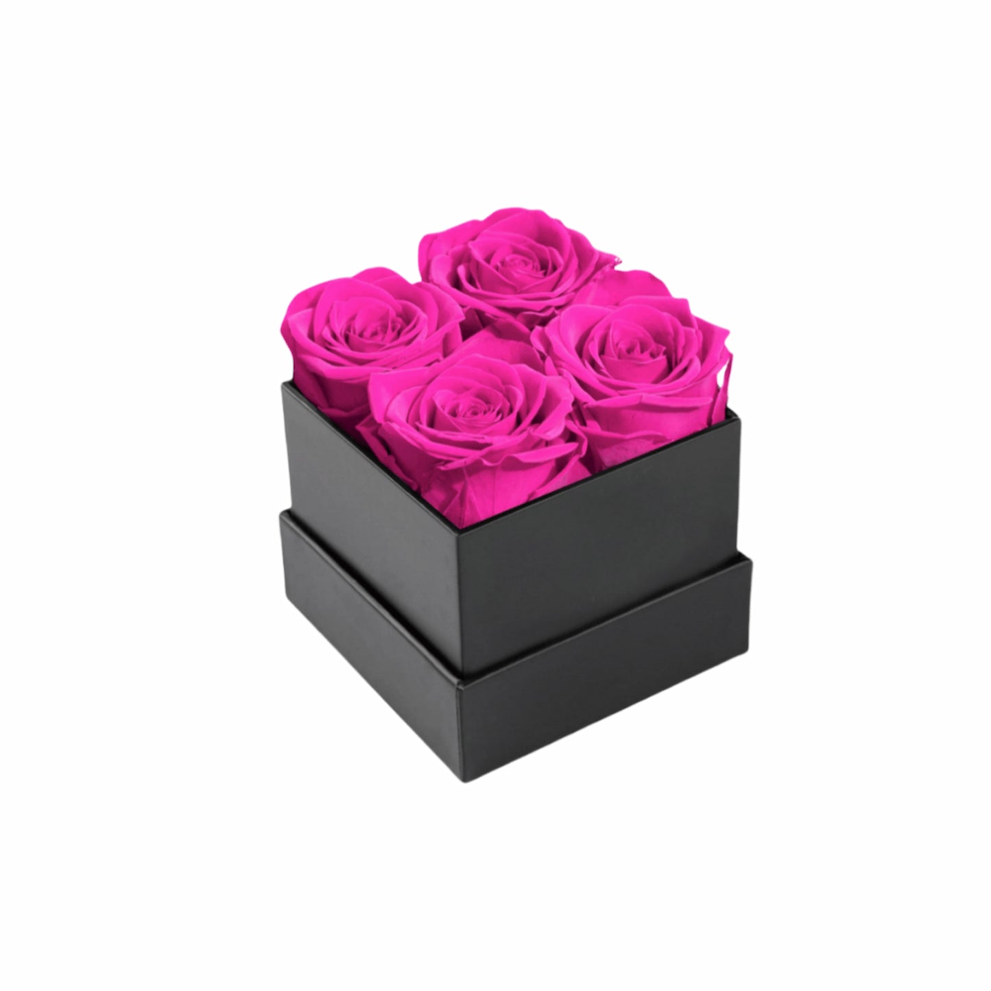 Fuchsia Eternal Roses In Black Box Perfect Gift For Her.