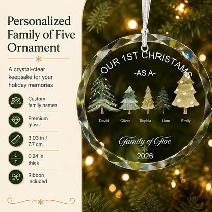 Personalized Our First Christmas Family Tree Glass Ornament Christmas tree display